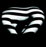 Francis Giacobetti : Zebras - (c) Galerie Matignon - F.G.