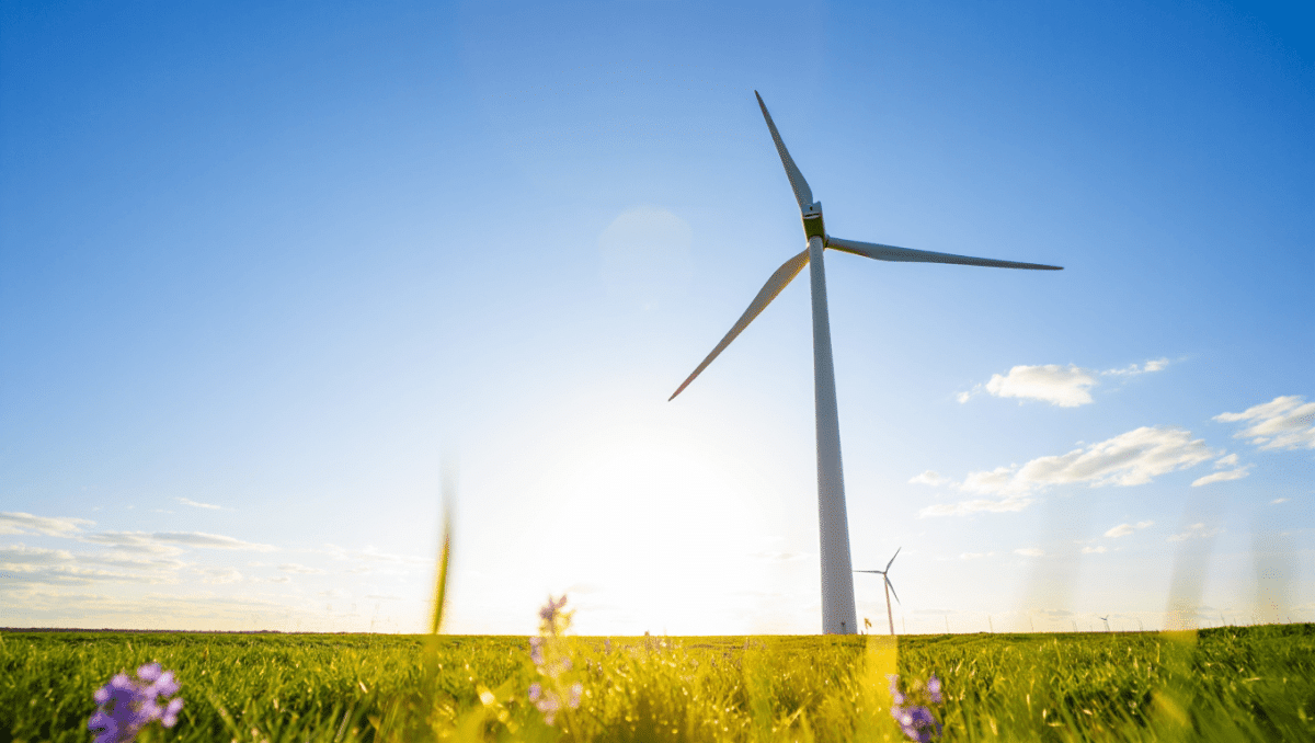 Aides publiques, efficacité : les énergies renouvelables vont êtres profondemment analysées en France
