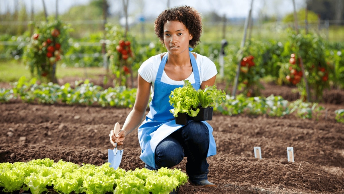 Cultiver un potager pour 4 personnes au printemps : guide pratique