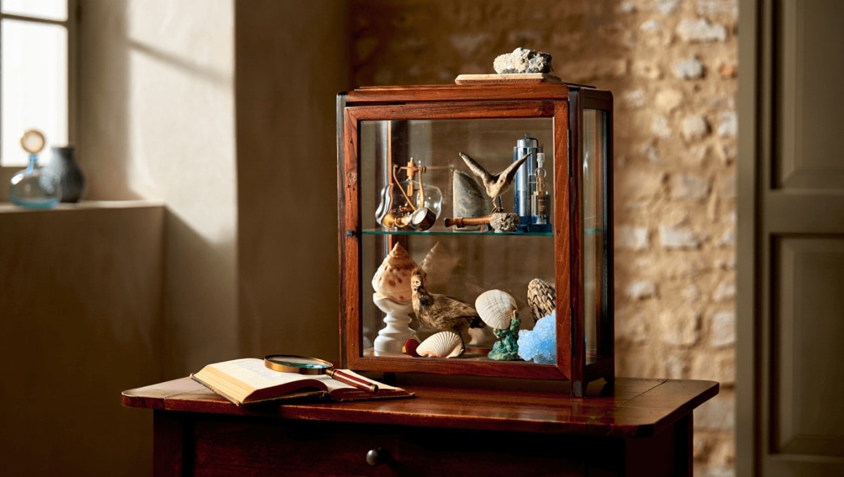 Inspiration : comment créer un cabinet de curiosité ?