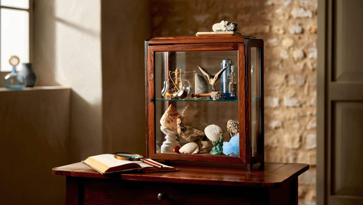 Inspiration : comment créer un cabinet de curiosité ?