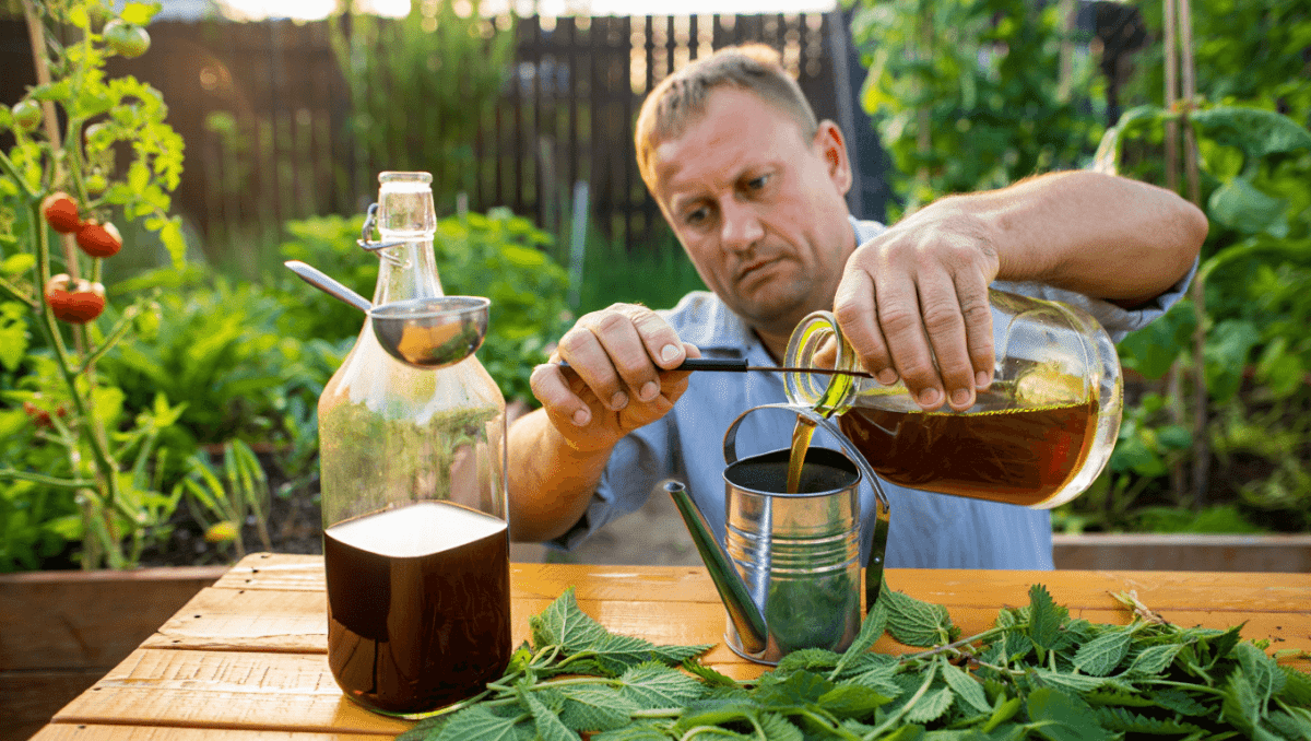 Purin d'ortie : recette facile et conseils d'utilisation au jardin