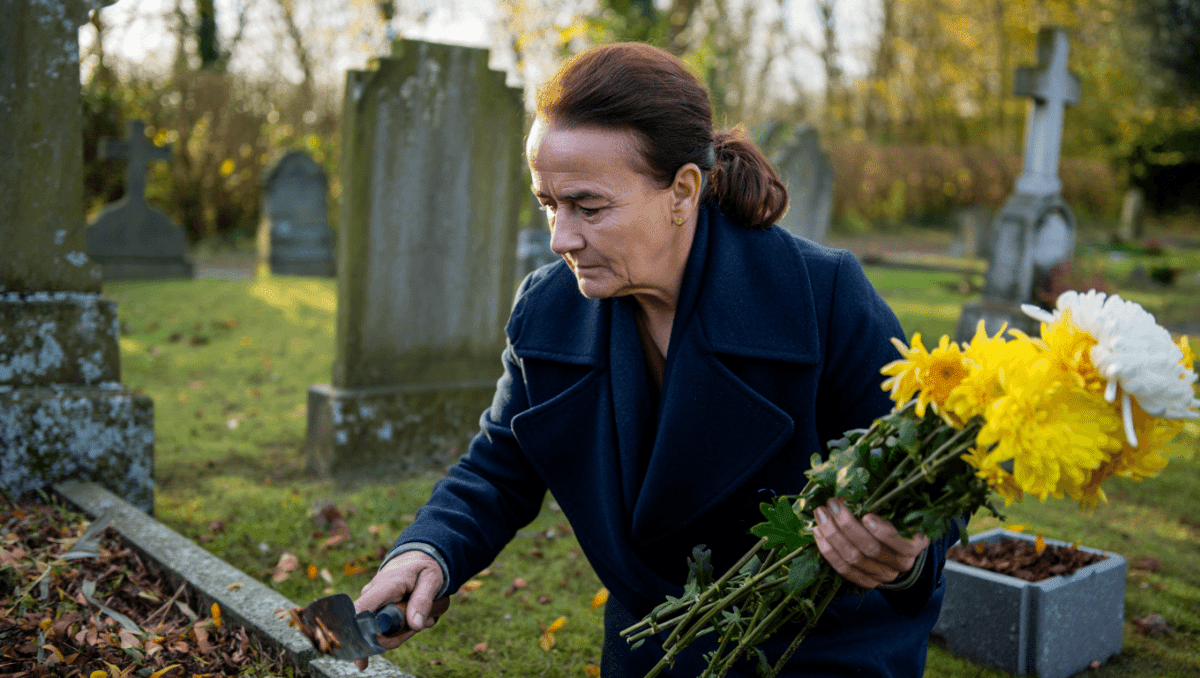 Offrir une seconde vie aux chrysanthèmes du cimetière
