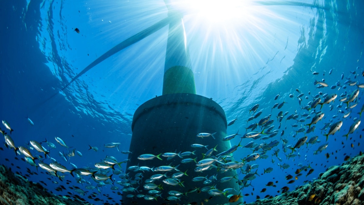 Cette éolienne offshore française va servir d’hôtel à poissons !