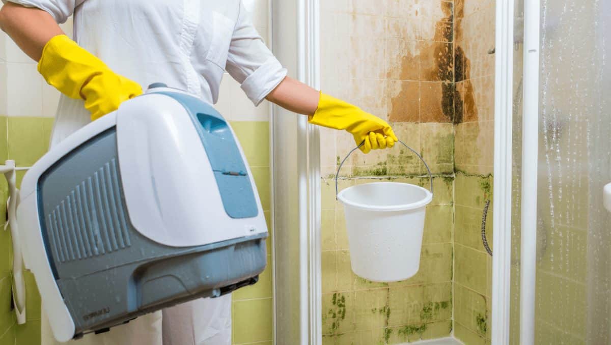 Humidité dans votre maison : voici la solution efficace à tous les coups