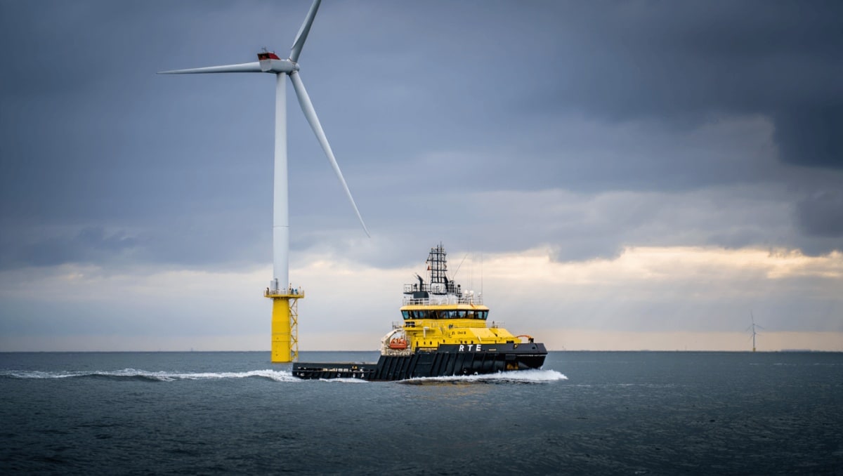 Éolien offshore : le gigantesque défi qui attend RTE