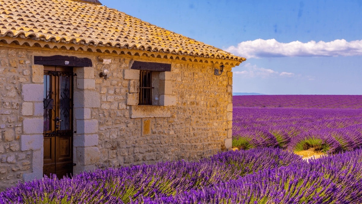 Mas provençal : Comment reconnaître cette maison du Sud ?