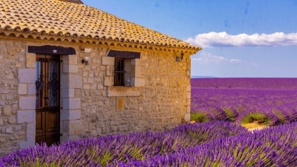 Mas provençal : Comment reconnaître cette maison du Sud ?