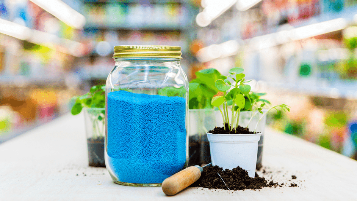 Engrais bleu : composition, utilisation et dosage au jardin