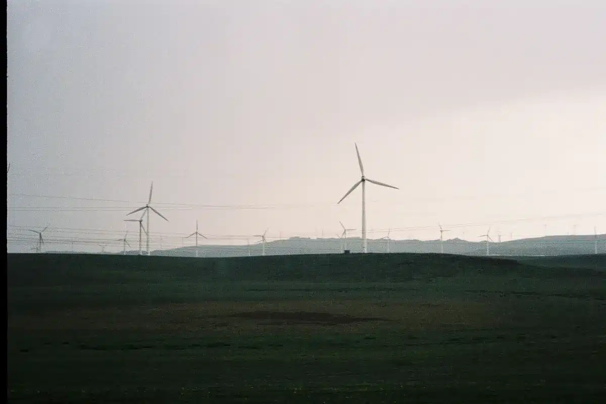 Éoliennes modernes dans un paysage rural avec ciel dégagé, symbolisant la reprise du secteur éolien européen