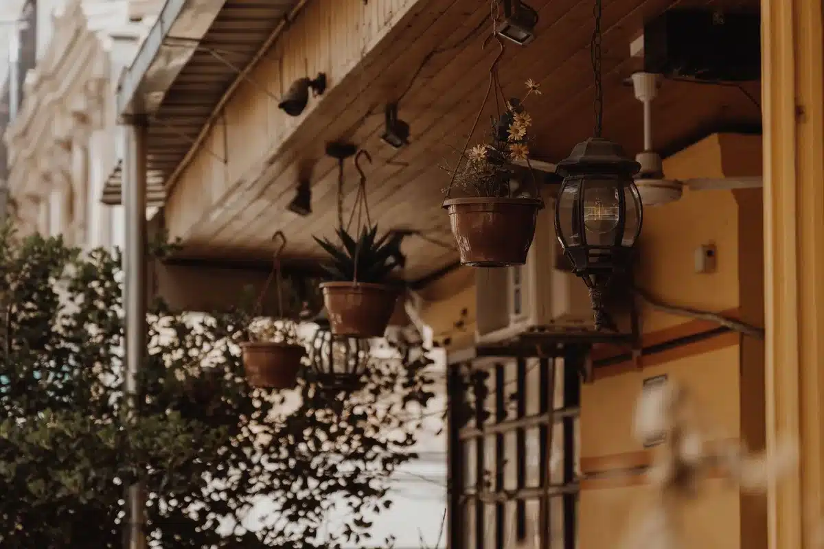 Balcon ou terrasse d&eacute;cor&eacute;e avec pots de fleurs et &eacute;clairage chaud pour une ambiance myst&eacute;rieuse