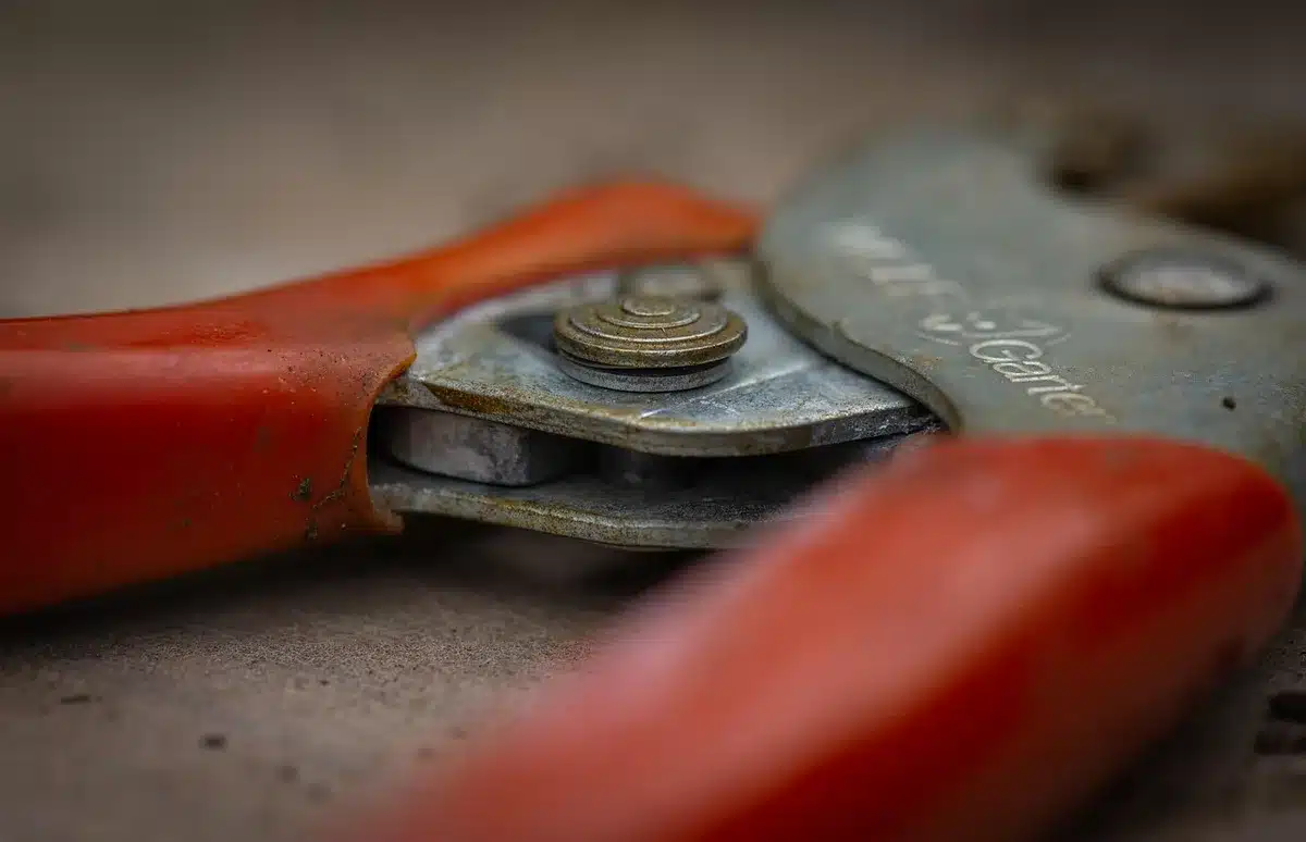 Outils de jardinage : sécateur, pots drainants, substrat et matériaux de drainage