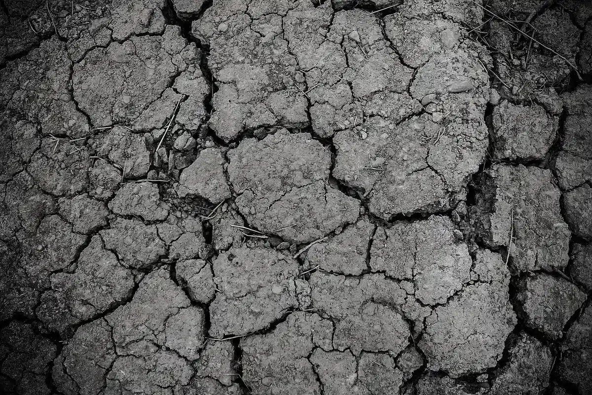 Coupe g&eacute;ologique d'un polder avec couches de sable et d'argile