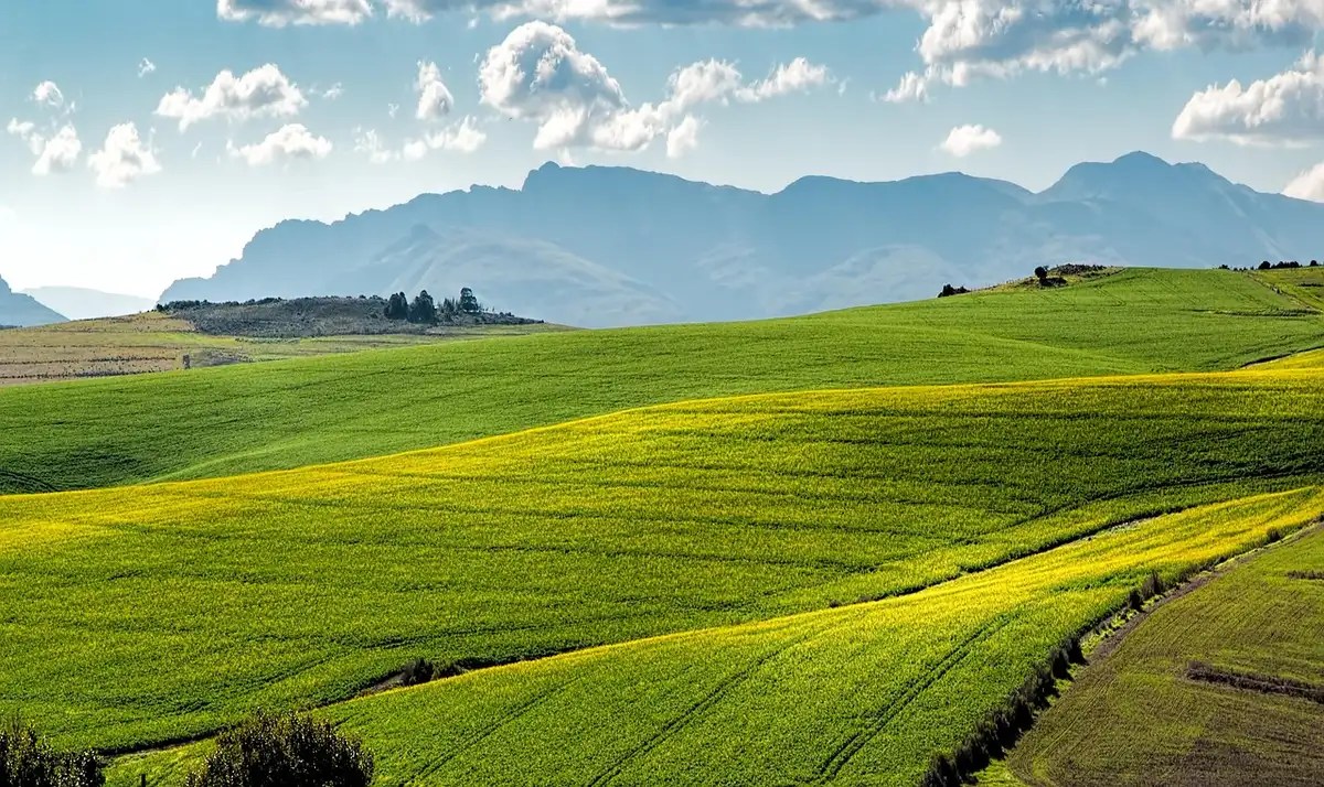Terrain agricole en légère pente illustrant l'importance de la topographie