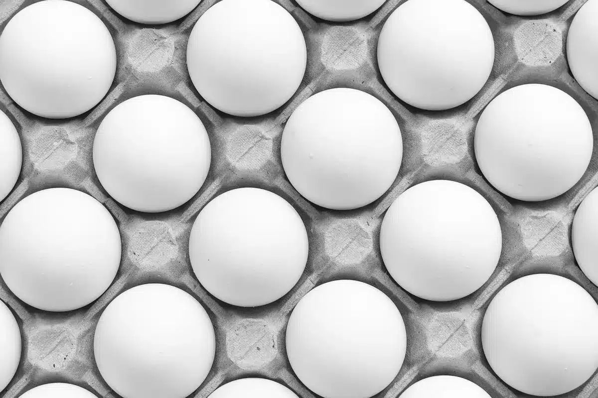 Châtaignes incisées prêtes à être rôties sur une plaque de cuisson
