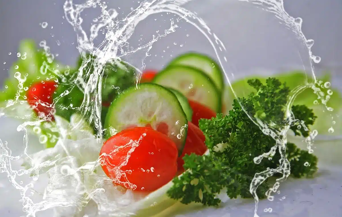 Baies, salade et herbes dans un contenant ventilé transparent