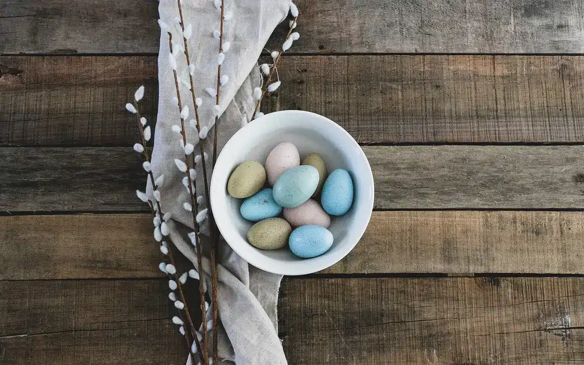 Détails de finitions arrondies et couleurs pastel d'appareils de cuisine
